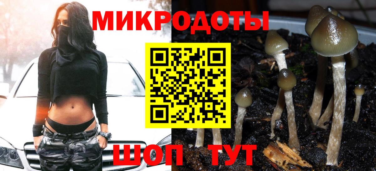 Псилоцибиновые грибы Psilocybe Хабаровск