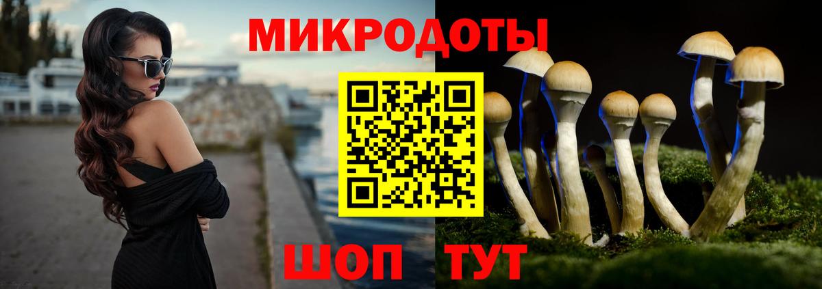 Псилоцибиновые грибы ЛСД  купить   Хабаровск  Вход с VPN 